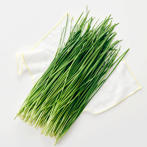 GAP 부추 (250g)