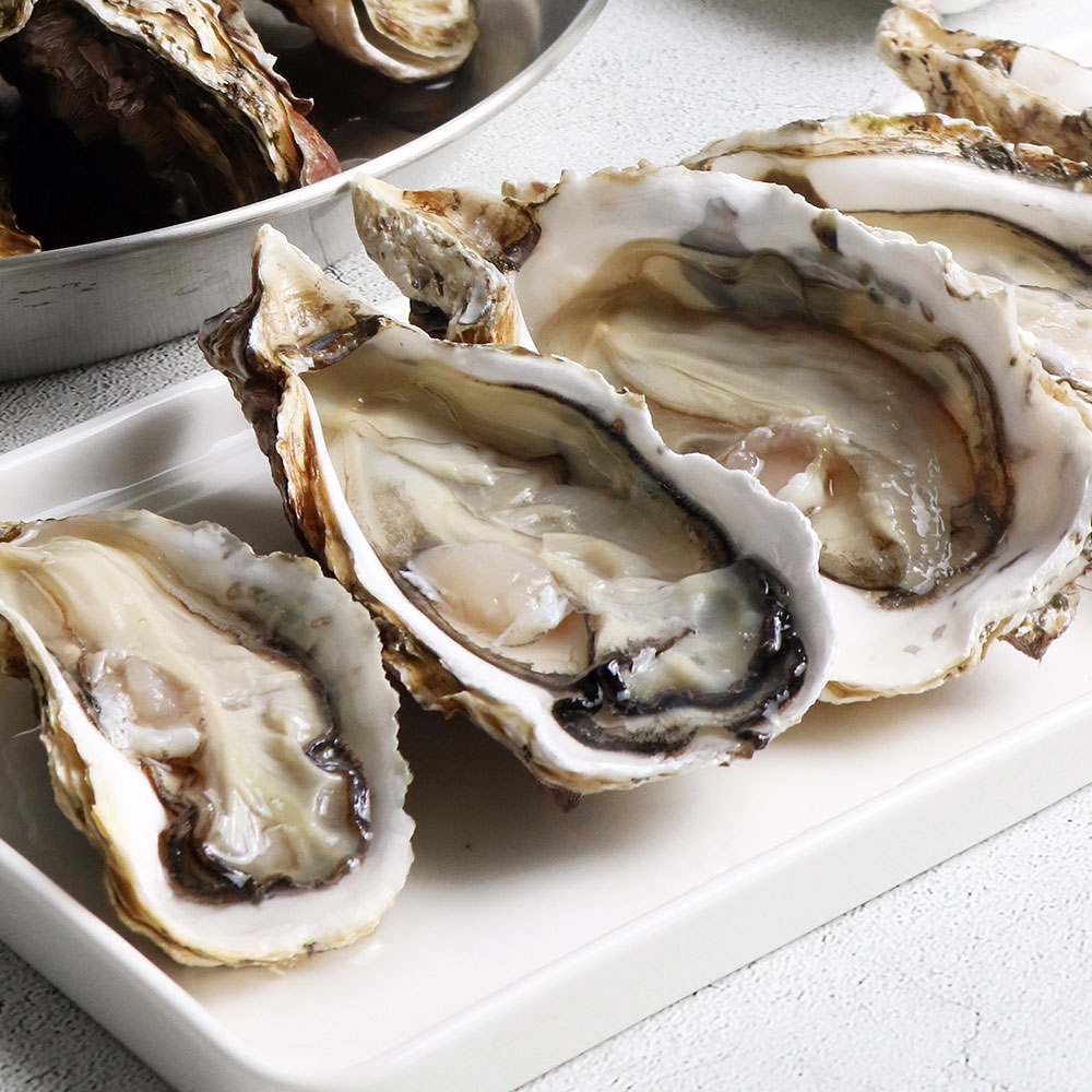 율스키친 제철 통영 각굴 석화 5kg 10kg