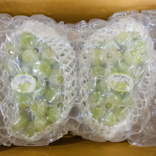 탱글탱글 알찬 고당도 프리미엄 샤인머스켓 2kg/4kg