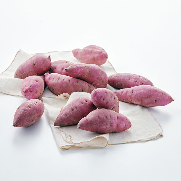 [20% 쿠폰] 무농약 꿀맛 고구마 (1.5kg) 대표이미지 섬네일