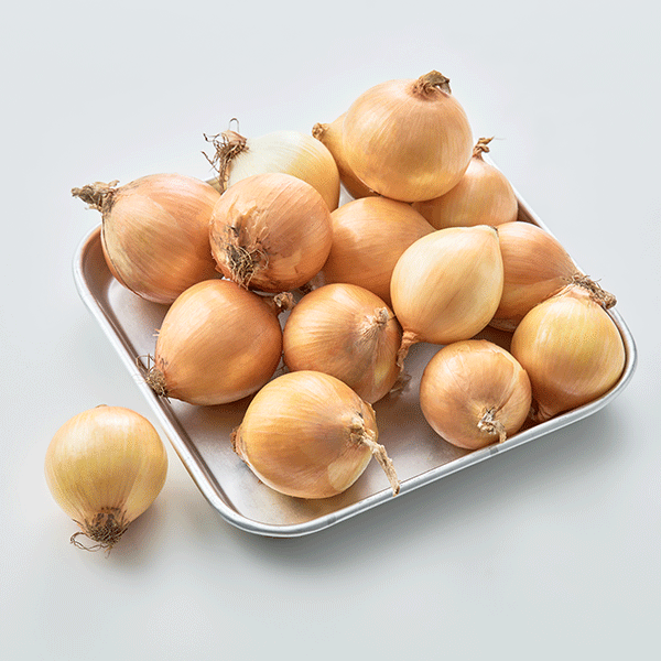 친환경 양파*3kg