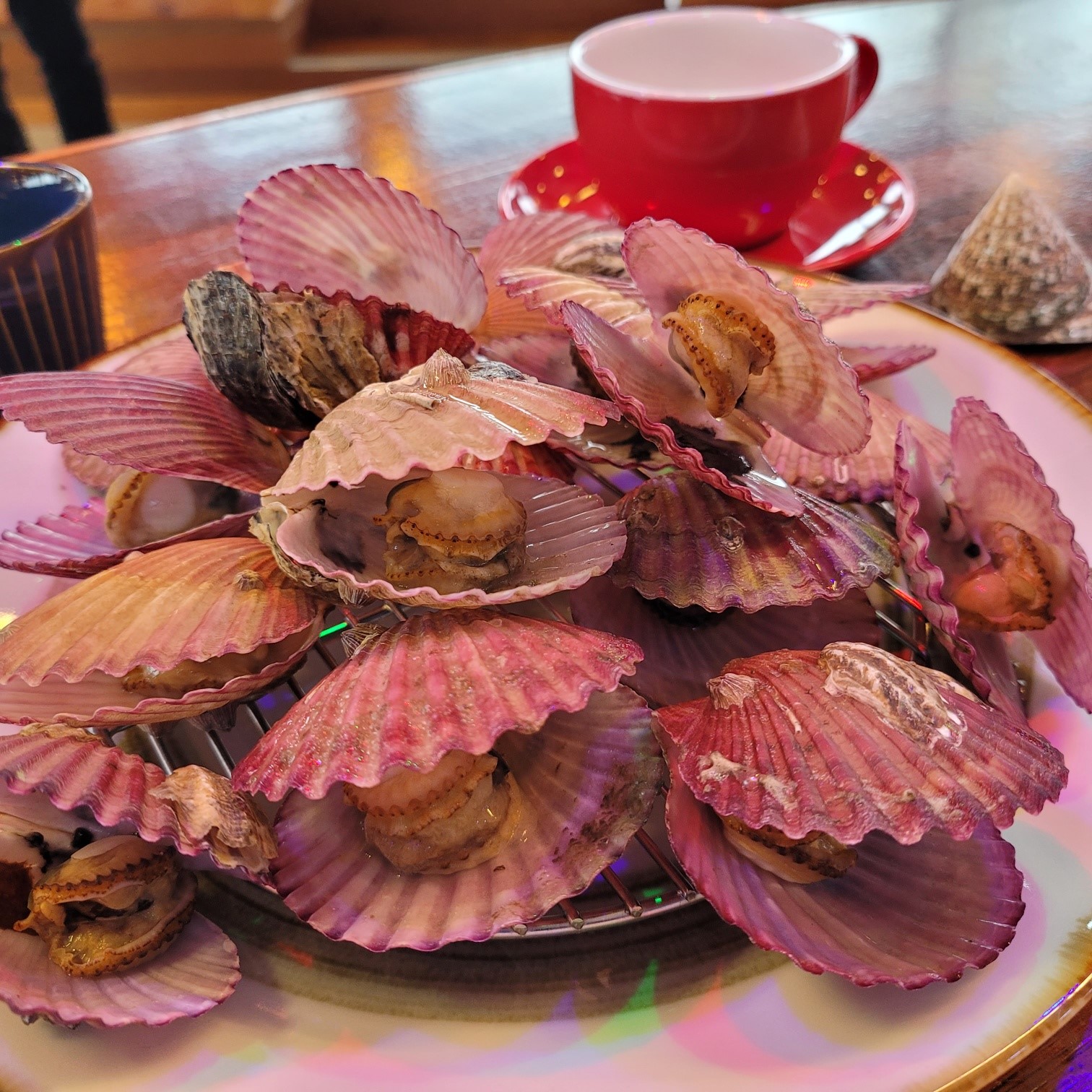 파도수산 국내산 제철 홍 가리비 1kg