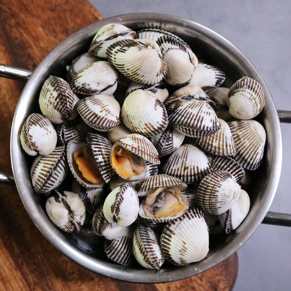 당일채취발송 벌교 여자만 새꼬막 2kg(상)