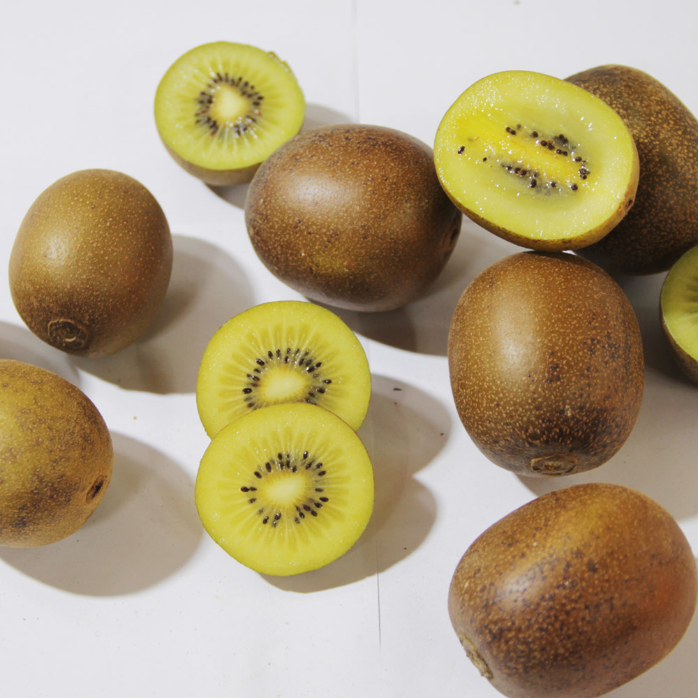 순천 골드키위 실속형 2kg, 5kg /옵션선택/