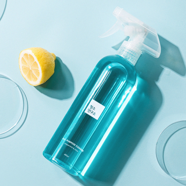 [청소연구소] 다목적 클리너 480ml 1+1