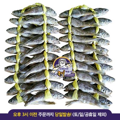 [특가1+1] 영광 법성포굴비 40마리 기획전