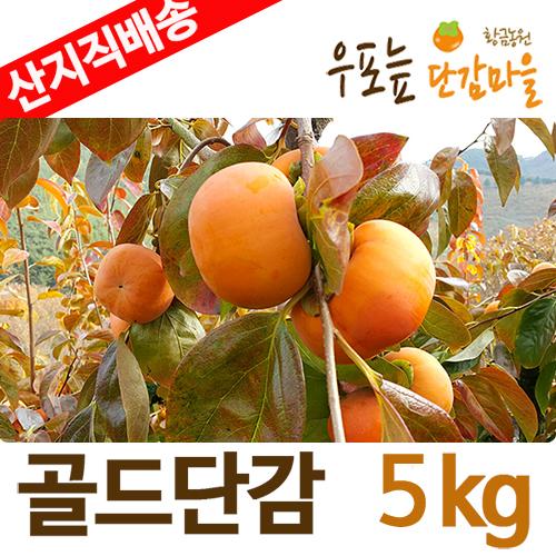 [첫출하/특품/국내 최대 창녕우포] 고당도 골드단감 [5kg-10kg] 대표이미지 섬네일