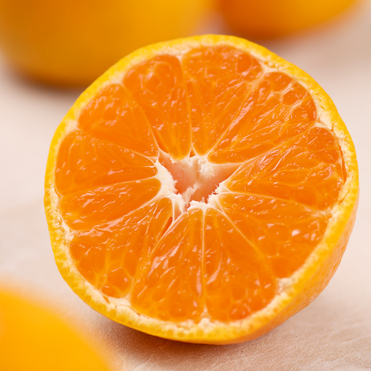 2025년 제주 감귤박람회 조생감귤 4.5kg (대/소/로얄과, 실중량)