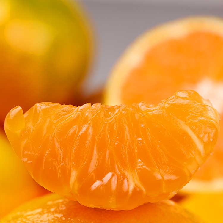 2025년 제주 감귤박람회 조생감귤 4.5kg (대/소/로얄과, 실중량)