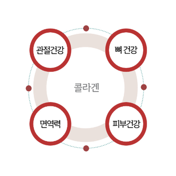 저분자 아미노콜라겐 뷰티콜라겐 로아 사이토메디(ROA cytomedy) 3.5g x 60스틱 2개월분