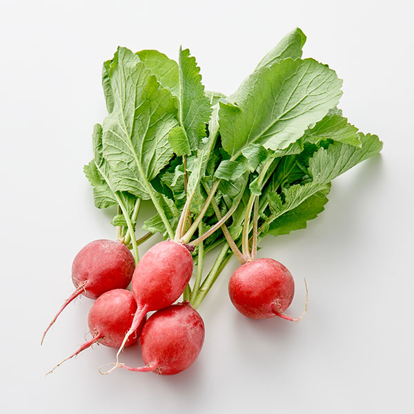 국내산 래디시(100g)