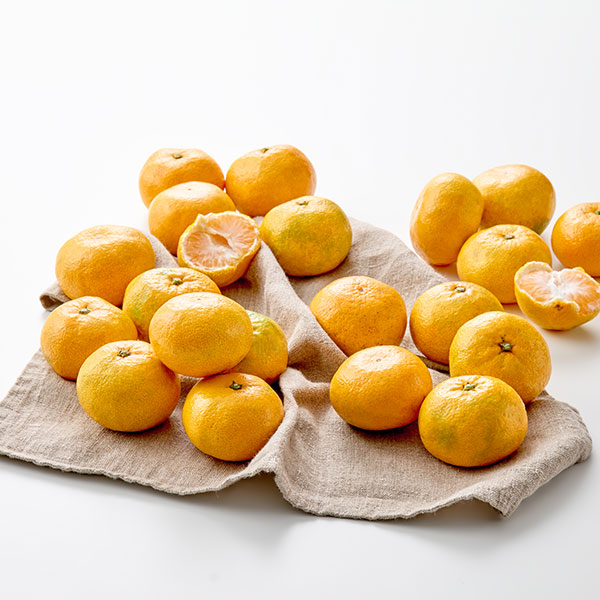 무농약 제주 감귤 (3kg.박스)