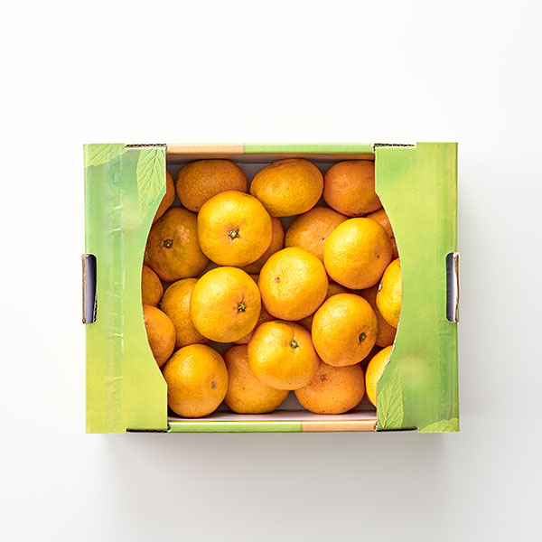 무농약 제주 감귤 (3kg.박스)
