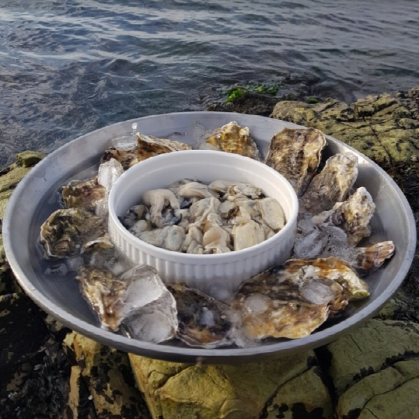 30년전통 통영 생굴무침 500g