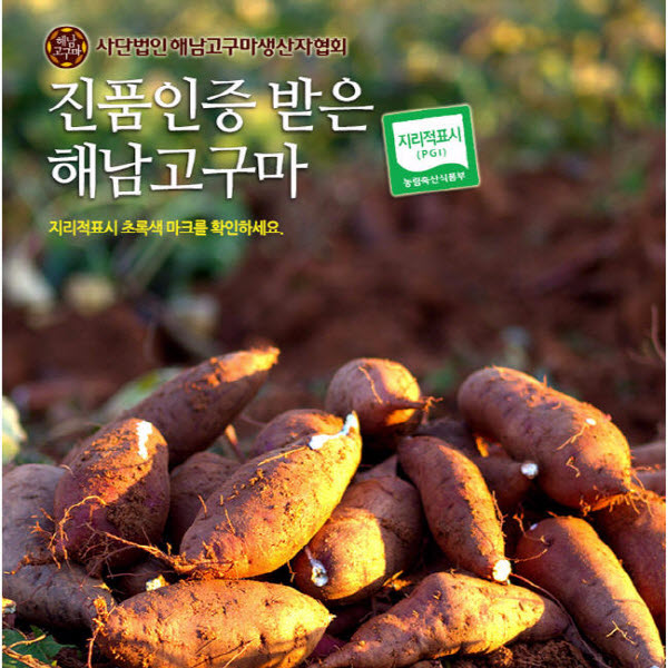 [해남직배송] 진품인증 해남 꿀고구마 3kg