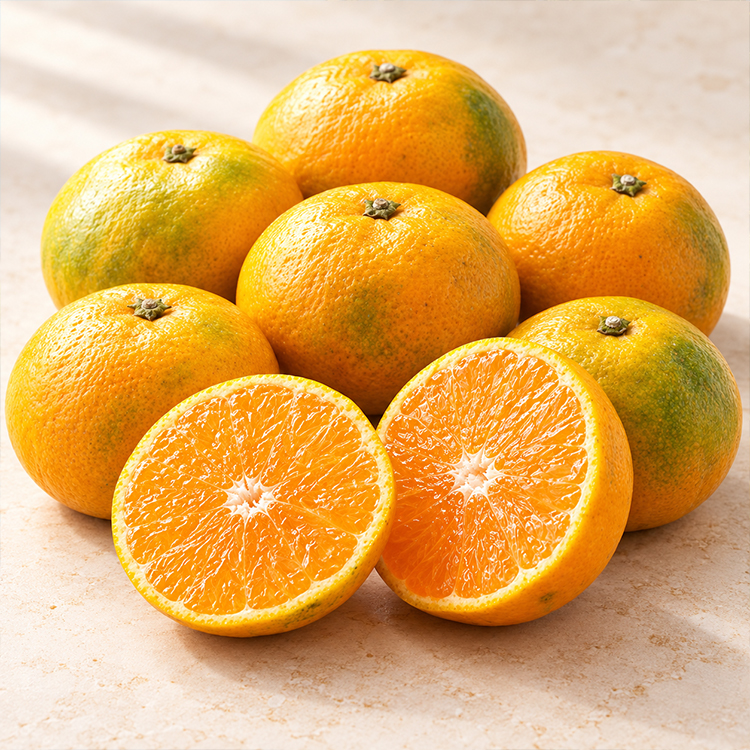 서귀포 하례마을 고당도 타이백 감귤 3/5kg (실중량)