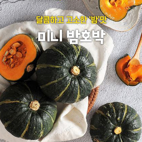 [제주_밤호박] 고소한 제주 미니 밤 단호박 2kg [7~12개]