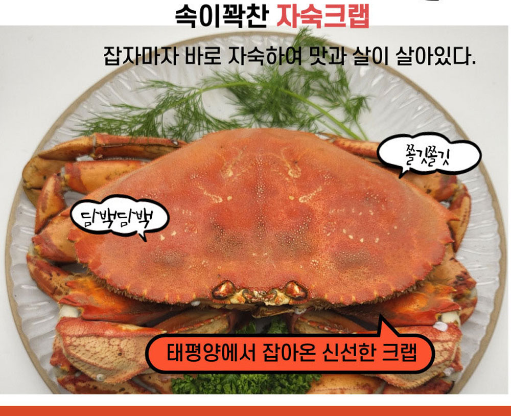 속이꽉찬 맛깡패 던전 던지네스크랩 1마리
