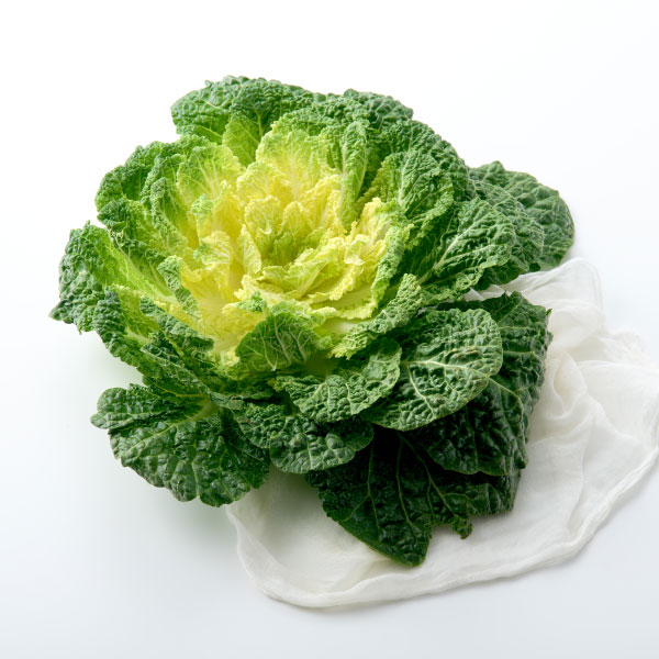 국내산 노지 봄동(500g) 대표이미지 섬네일