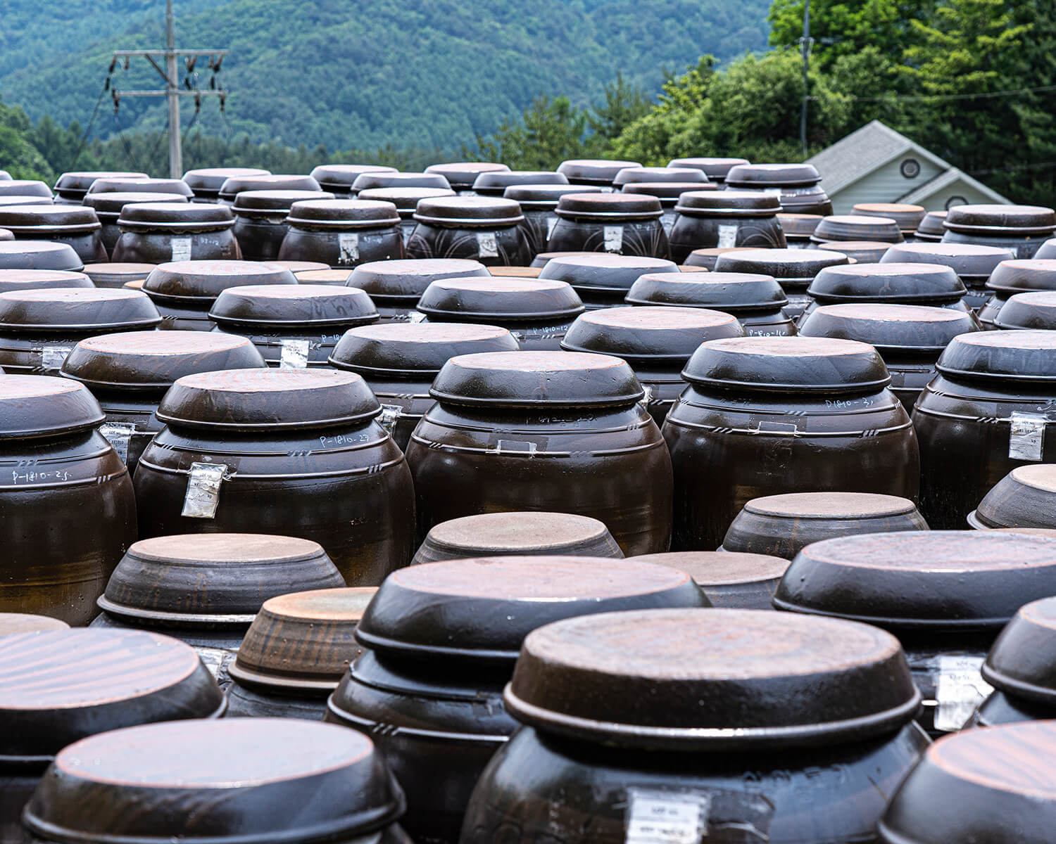 명품장아찌 선물세트 (250g*5ea)