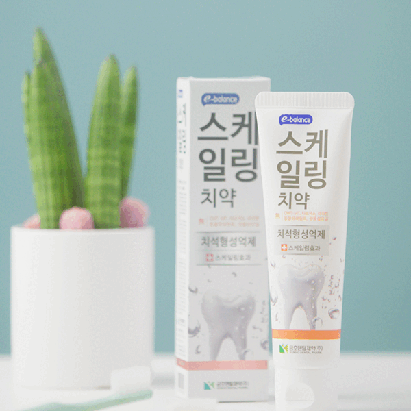 이밸런스 스케일링 치약 120g X 5개