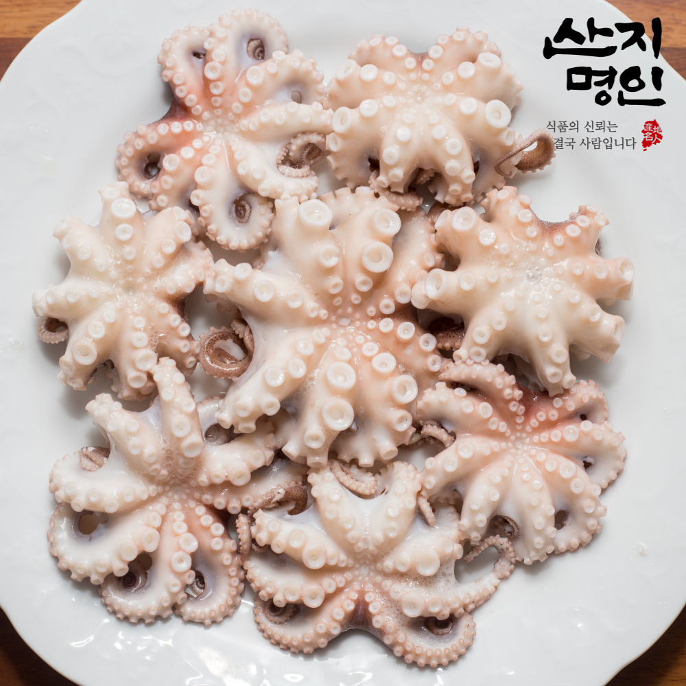 [산지명인] 제철 활 주꾸미 1kg 황금어장 태안 자연산 쭈꾸미