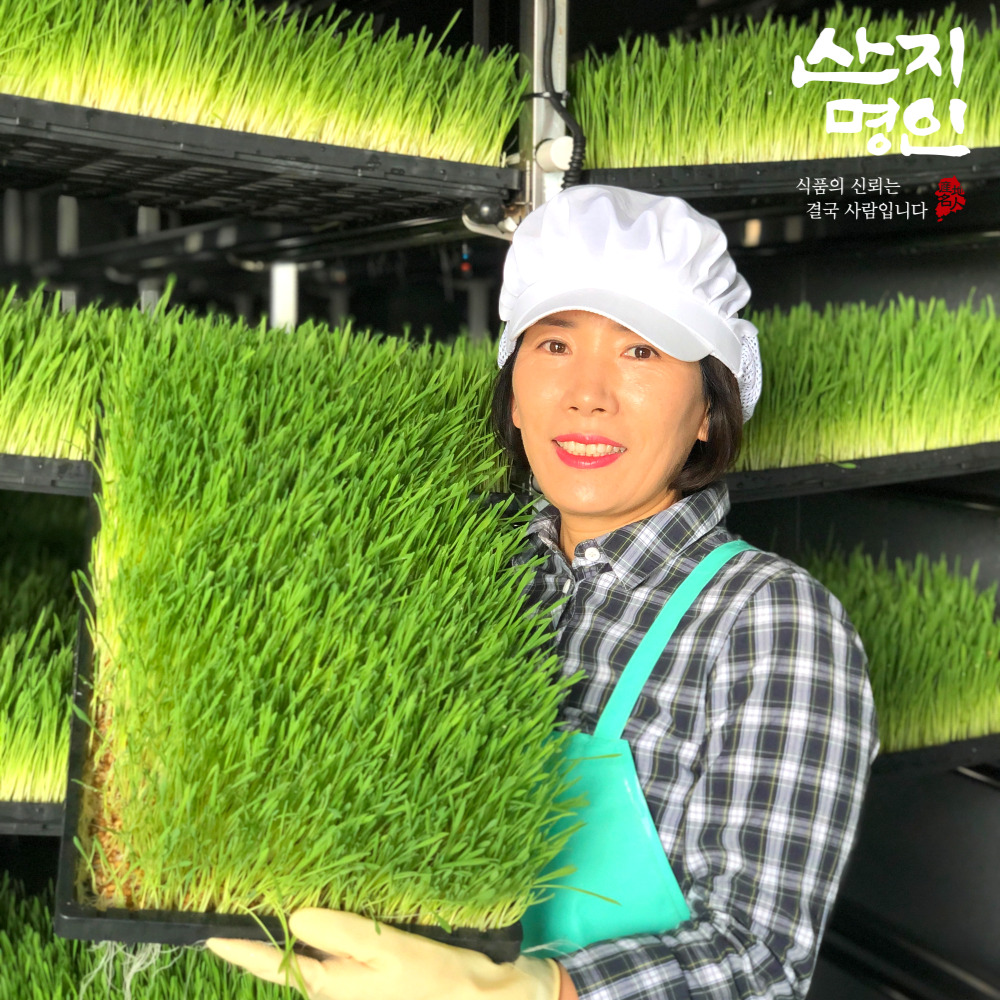 [산지명인] 새싹보리분말 100g 지퍼팩 신안군 수경재배 새싹보리