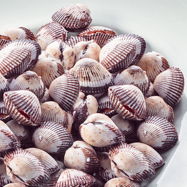 벌교 생물 새꼬막(대/70~90알 / 1kg) 대표이미지 섬네일