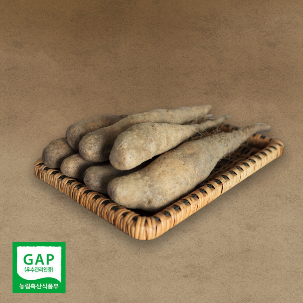 태나농장 우수농산물 마 산마 참마 산약 생마 햇마 3kg 5kg