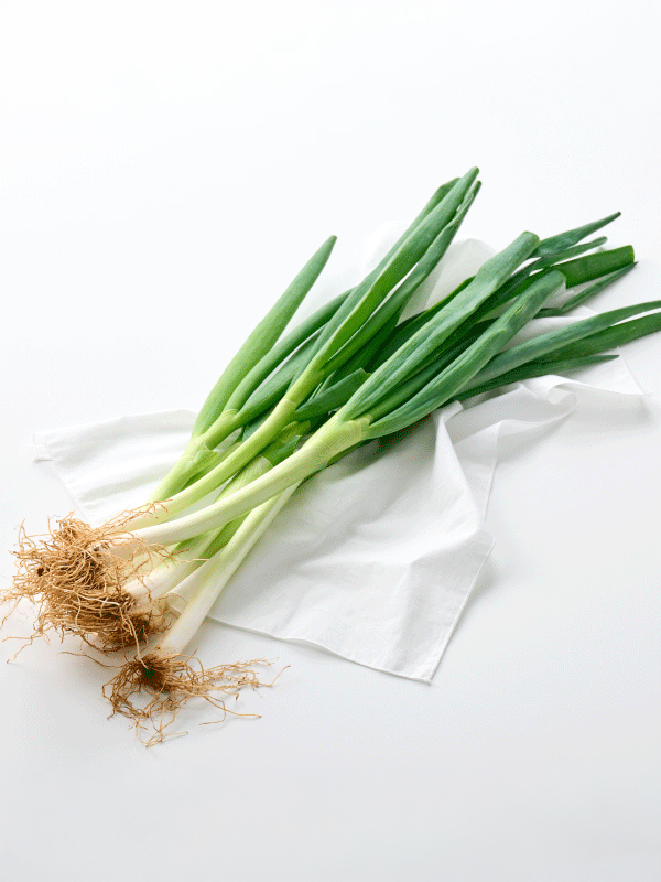 [BEST/농할20%쿠폰]무농약이상 대파(500g)