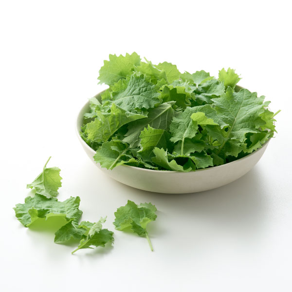 친환경 베이비 케일(50g) 대표이미지 섬네일