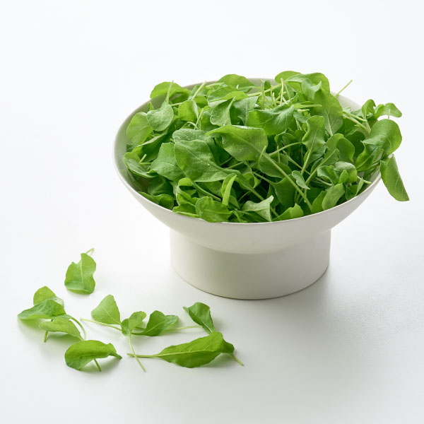 친환경 베이비 루꼴라(60g) 대표이미지 섬네일