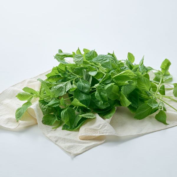 친환경 깻잎순(200g)