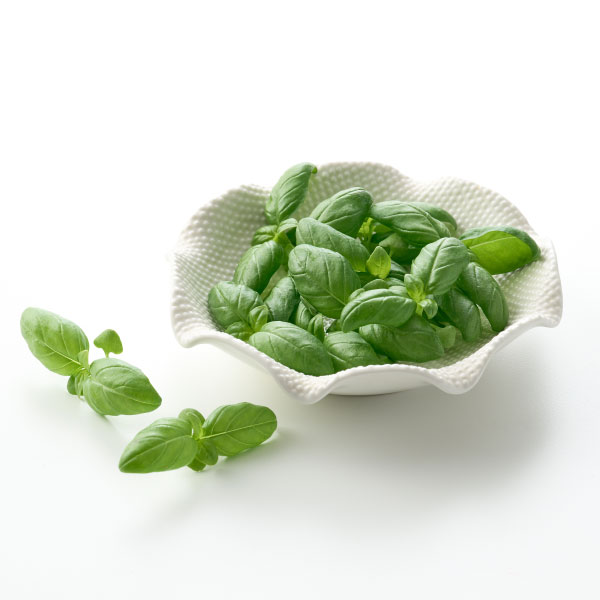 친환경 베이비 바질(10g)
