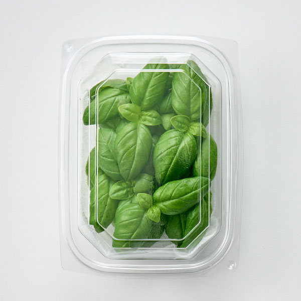 친환경 베이비 바질(10g)