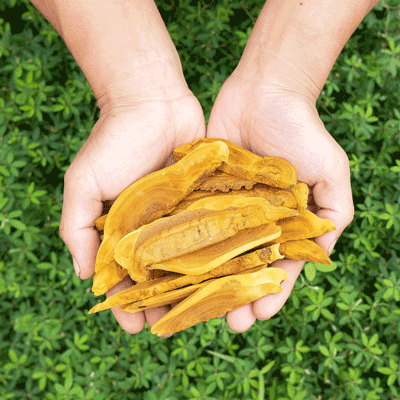 유기농 국산 농장직송 장수상황버섯100g 절편