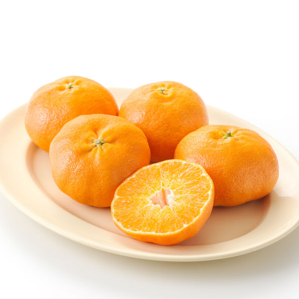 맛있는 레드향(4입팩/900g내외) 대표이미지 섬네일