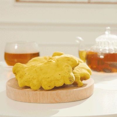 유기농 국산 농장직송 장수상황버섯 500g 실속형 대표이미지 섬네일