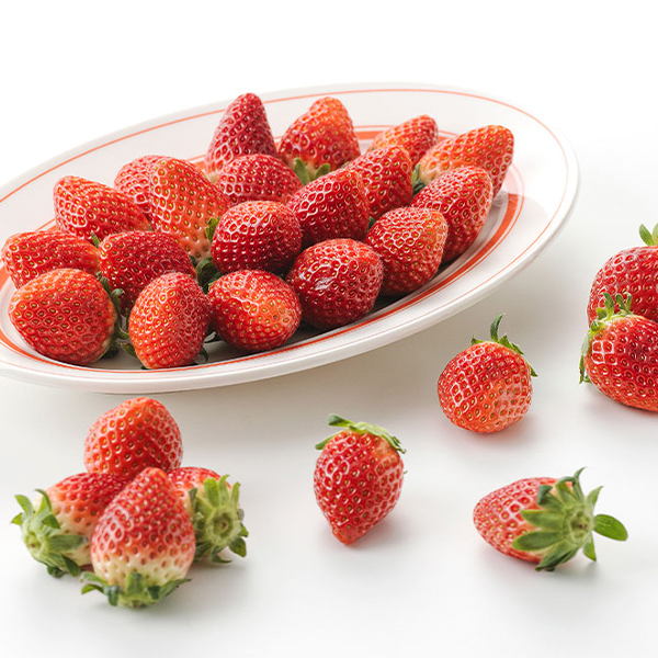 무농약 한입 금실딸기