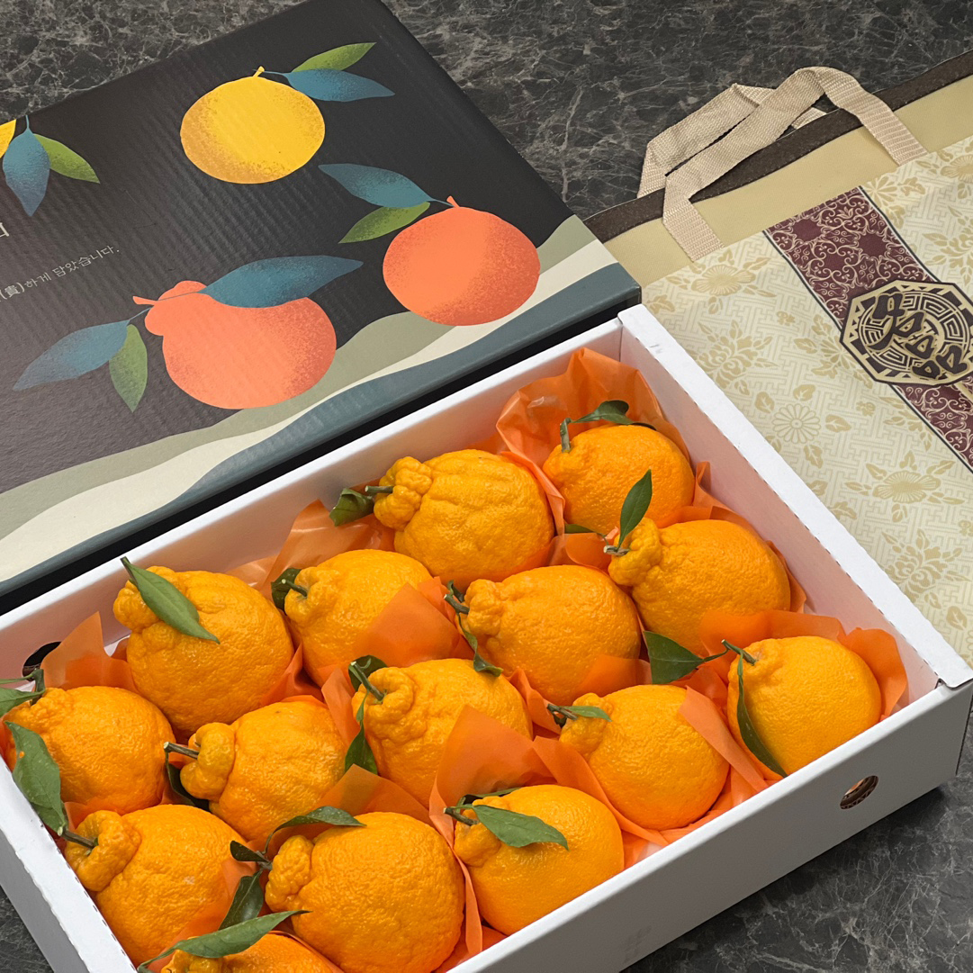 제주 서귀포 한라봉 선물세트 대표이미지 섬네일