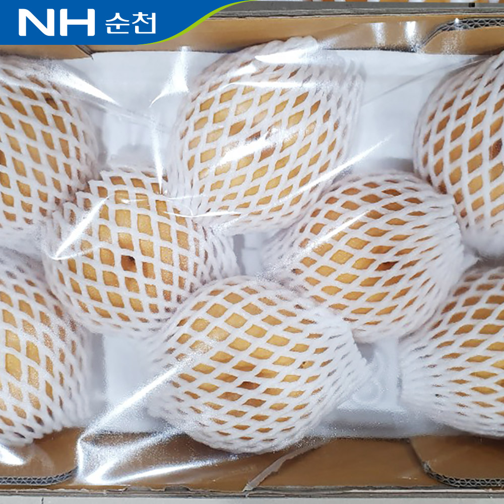 순천 배 선물세트 5kg /옵션선택/