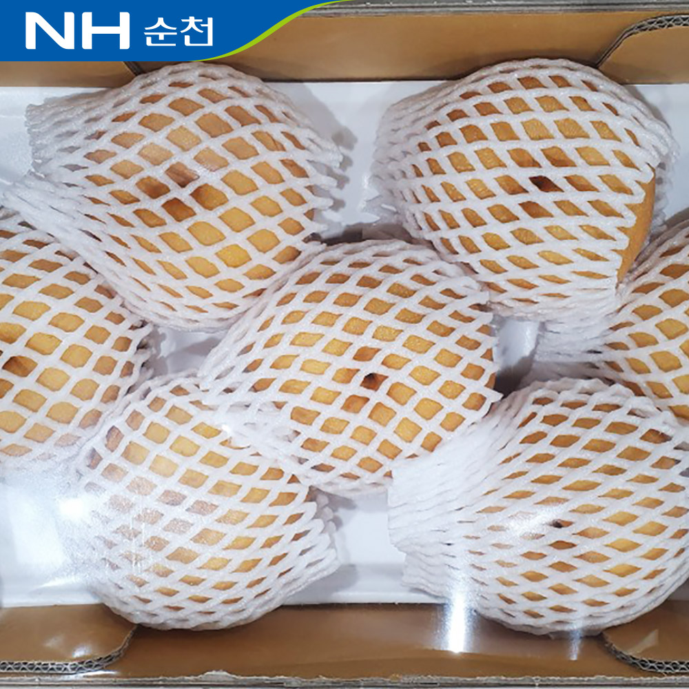 순천 배 선물세트 5kg /옵션선택/