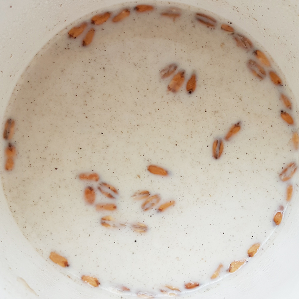 국내산 귀리쉐이크 300g 대용량 곡물음료