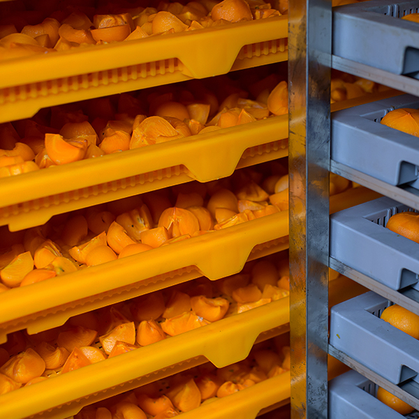 [청도곶감]다디단 반건시 알찬세트 1호