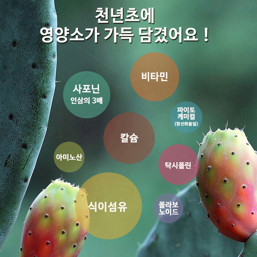 엄마애손 천년초즙 진액 (100mlx60포) 추출액 100%