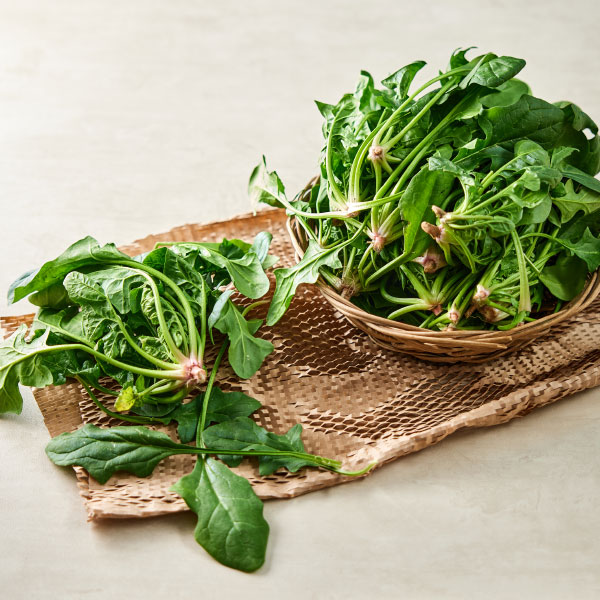 [기획전] 삼성 그랑데 AI 세탁기 AI 10kg 대표이미지 섬네일