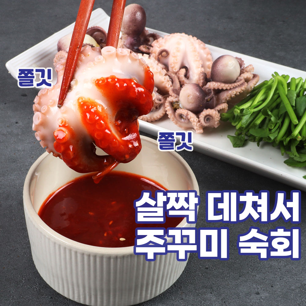 산지직송 서해 봄쭈꾸미 활쭈꾸미 1kg 냉동 국산주꾸미 500g 1+1  국산쭈꾸미 볶음 숙회