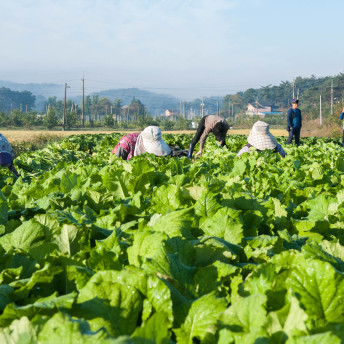 [5팩] 남원 현식당 프리미엄 추어탕 700g 현추어탕 블랙