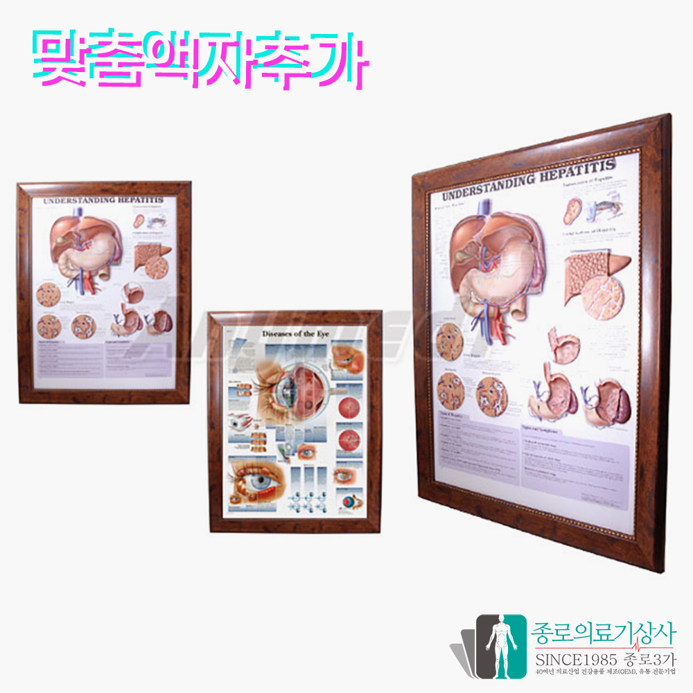 인체해부도 3D차트 병원액자 9895 이비인후 EAR NOSE THROAT 54X74cm 액자옵션