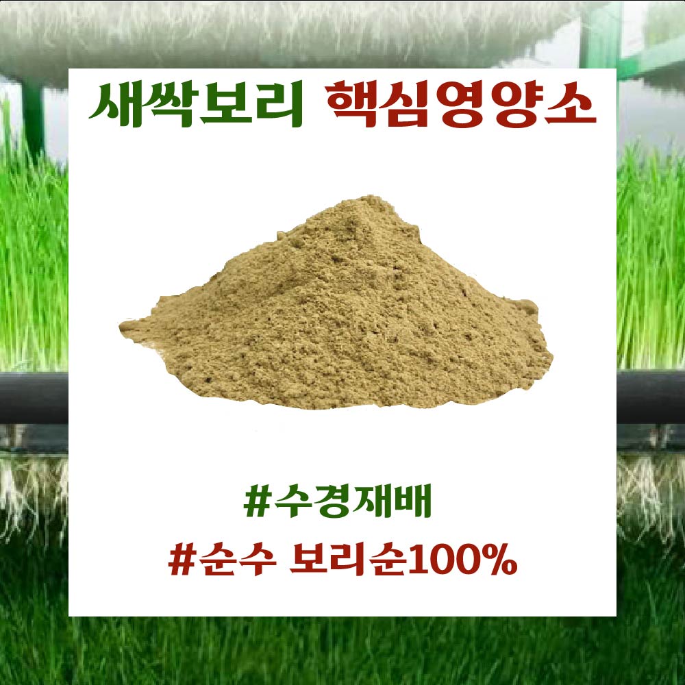 [오엠오] 100% 국내산 새싹보리분말 수경재배